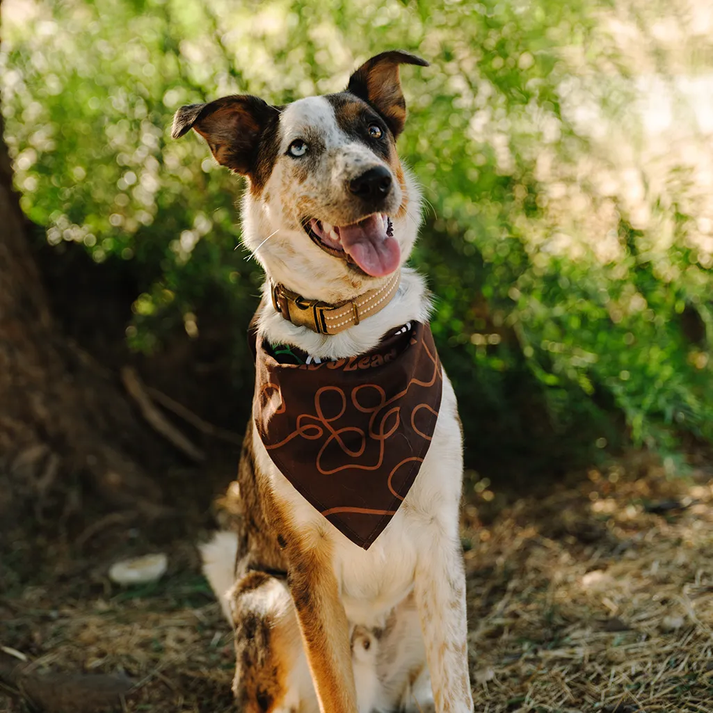 Pack Leader Dog Bandana